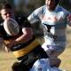 Keeping the ball alive: Pirates hooker Tim Collins gets the offload away during their win over Quirindi. Photo: Gareth Gardner