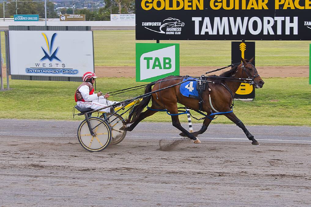 Catch me if you can: Capital Cullect powers to the line to win the Tamworth Treated Timbers-Horse Bedding Pace at Tamworth on Thursday. Photo: PeterMac Photography