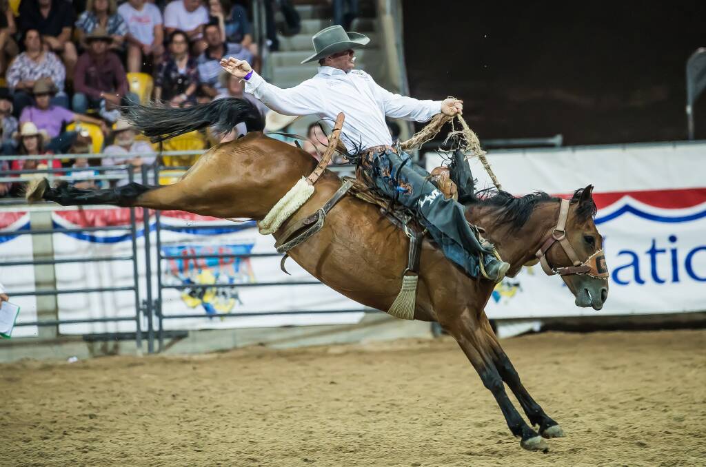 Top ride: Ben Lees' 77 point ride on Lil Sister was enough to secure him not only the saddlebronc title but the all-round cowboy honours. Photo: Andrew Roberts A Roberts Media.
