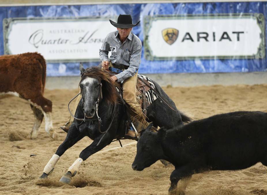 Another casualty: The NCHA's showpiece event - the Futurity - won't be be held in 2020. The AQHA's National Show has also been cancelled. Photo: Gareth Gardner