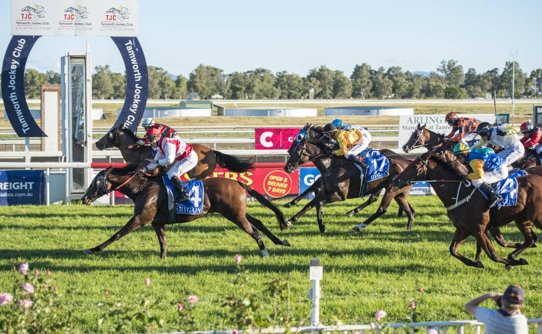 That was close: Josh Adams (outside) gets ready to celebrate after Timeless Prince's win over local hope Mapmaker in Sunday's Tamworth Cup. Photo: Peter Hardin 300417PHC169