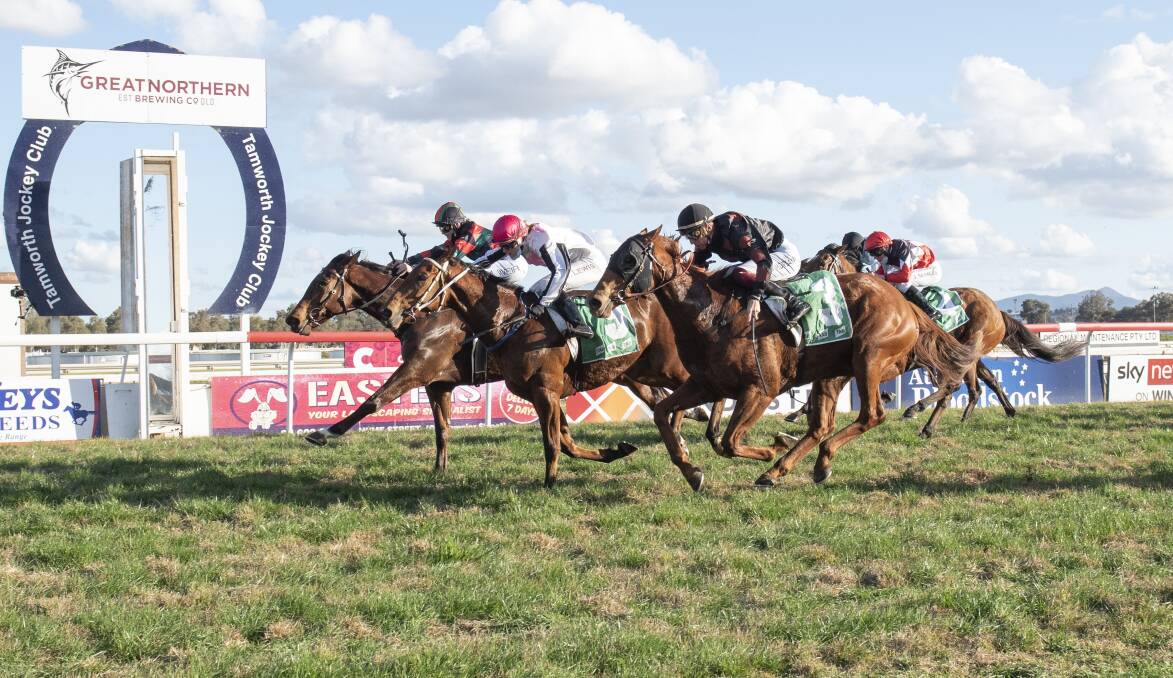Photo finish: Aleacia Bennett's Elusive Babbz just gets home on the inside from Walcha trainer George Woodward's Foreign Brother. Photo: Peter Hardin