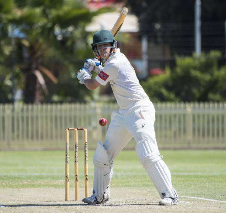 Steady at the top: Jye Paterson has helped Tamworth get off to good starts in both of their Country Cup games to date. On Sunday they play Terrigal for a spot in the semi-finals. Photo: Peter Hardin