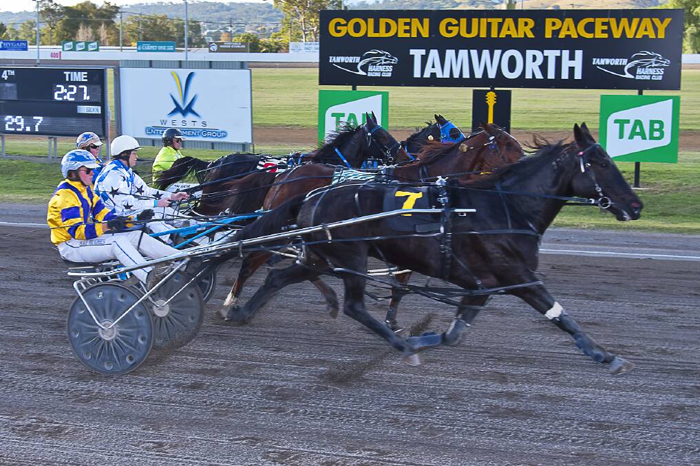 Drought-breaking win: Penny A Packet flashes home down the outside to score her first win in almost three years at Tamworth on Thursday. Photo: PeterMac Photography