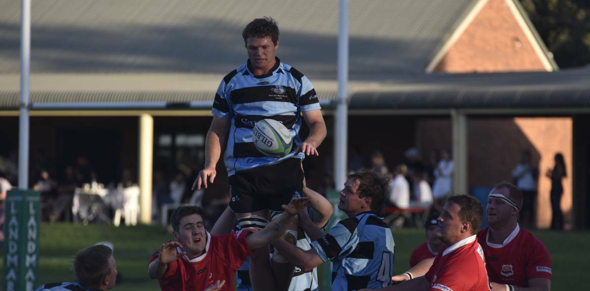 Big presence: Jack Maunder was one of the Blue Boars' best in their win over Scone on Saturday. Photo: Mark Bode