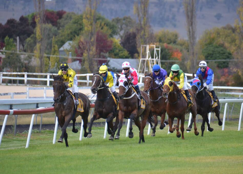 Flashing home: Apache Lad (pink cap) comes up on the outside of Mr Malu.