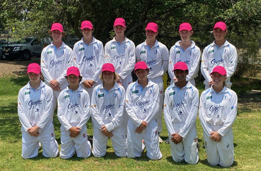 For a good cause: The Tamworth under-15s donned pink as part of the annual Pink Stumps day at the Walter Taylor Shield. They finished the day with a win and a loss.