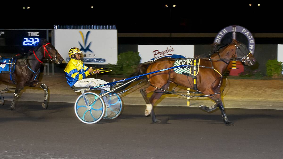 In good form: Cronin cruising to the line in his last start win at Tamworth. Photo: PeterMac Photography.