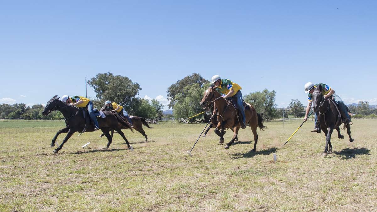 The Australian tent-pegging team train in Tamworth recently ahead of this weekend's World Cup qualifiers. Photo: Peter Hardin