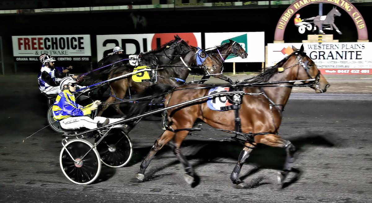 Winning combination: Shadow Dealer winning at Dubbo with Madi Young in the gig. The pair will link up again at the Tamworth meeting in search of another win. Photo: Coffee Photography Dubbo.