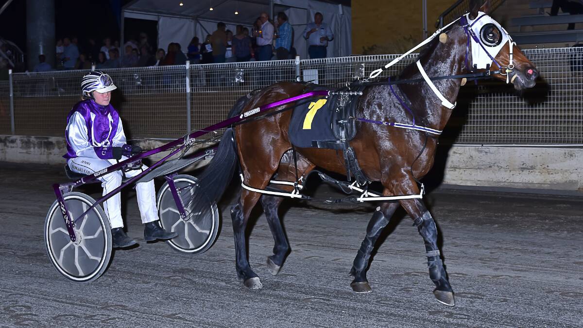 Milestone: Queen's Angel provided Jemma Coney with the first leg of her first winning double at Saturday night's Tamworth meeting. Photo: PeterMac Photography