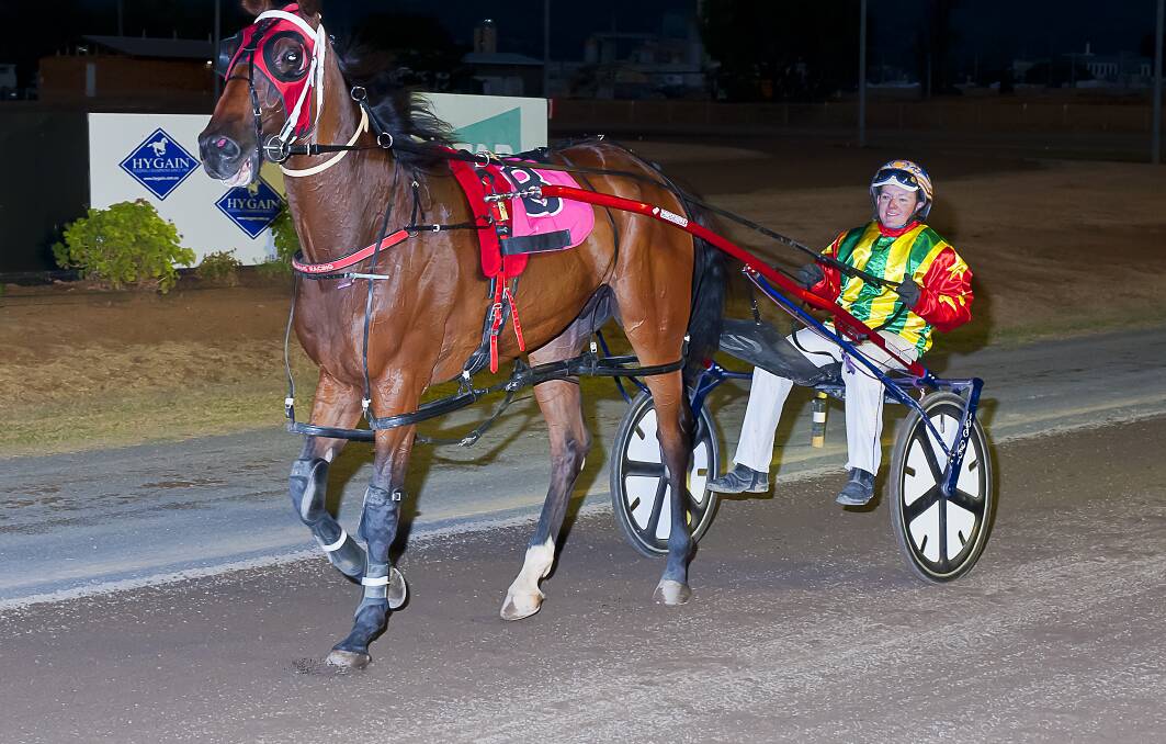 Gottashopearly returns to scale after winning in Tamworth recently. On Saturday night the gelding earned his trainer Richard Williams his first metro winner. Photo; PeterMac Photography