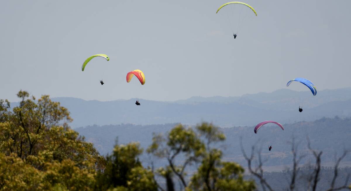 Soaring: Paragliders make a spectacular sight in the sky after launching off Mt Borah for day three of the XC Camp. Photo: Gareth Gardner