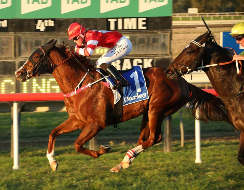 Hopeful: Sue Grills says Burning Crown is on target for next month's The Kosciuszko. Photo: Bradley Photos