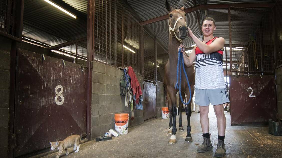 Hitting the highway: Tamworth trainer Zach Hatch at the stables he shares with his father Mark, will start Hey Dude in the firs of two Highway Handicaps at Royal Randwick on Saturday. Photo: Peter Hardin