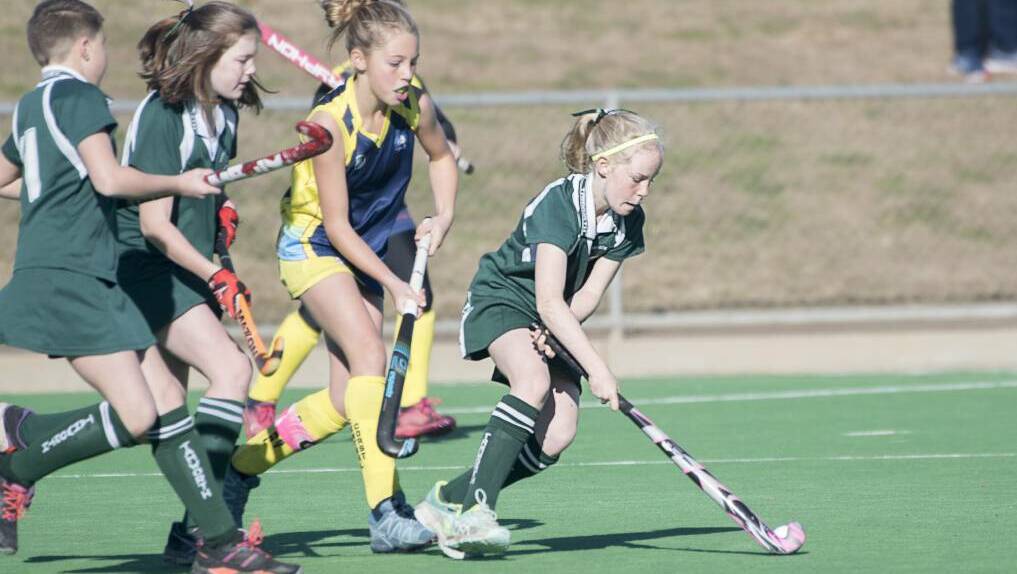 Still on: Tamworth Hockey Association is pressing on with plans for it's annual York Cup and Kim Small Shield carnival.