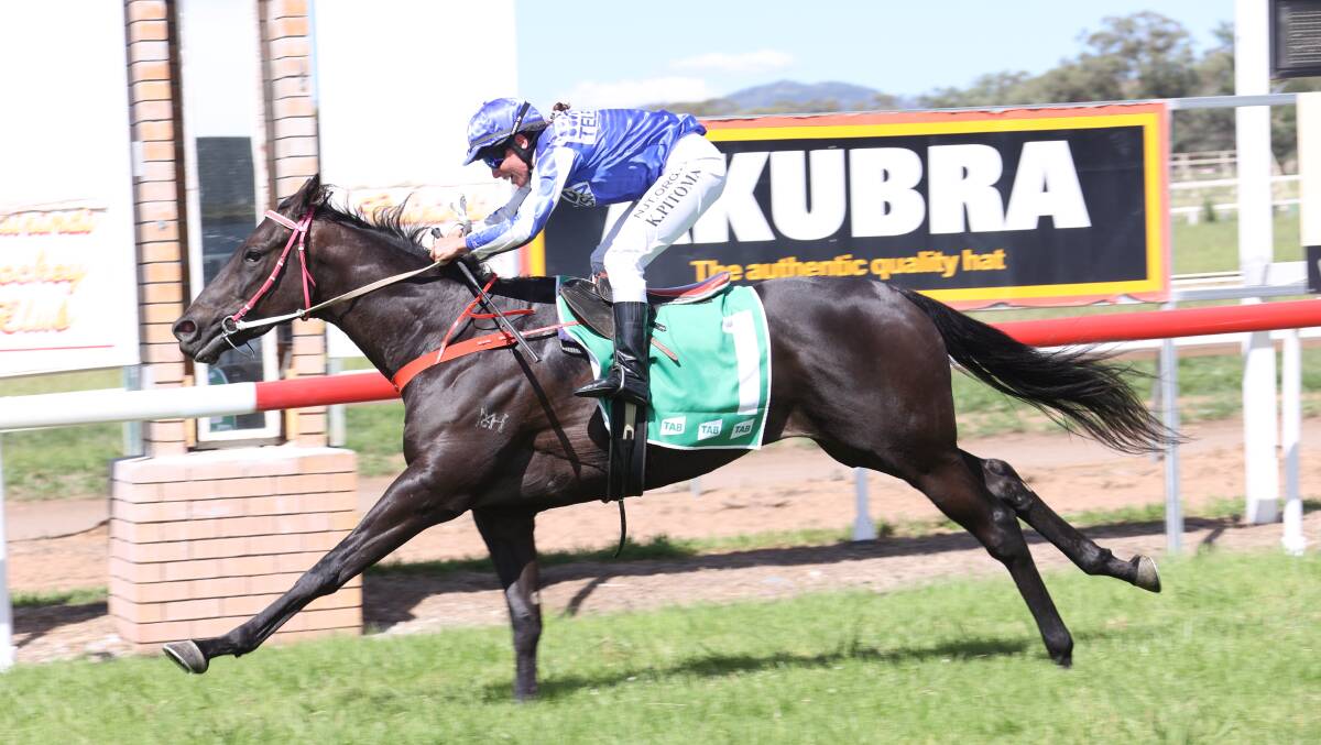 In the clear: Anazarli notched his first win for new trainer Lea Selby with a strong run at Quirindi on Tuesday. Photo: Bradley Photos