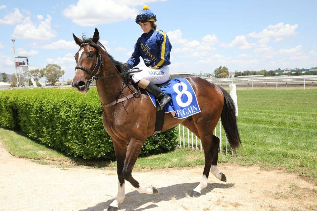 Grace Willoughby returns to scale on Onemorechance after winning at Tamworth last month. Trainer Troy O'Neile has nominated the gelding for Friday's River Ridge 2YO at Quirindi. Photo: Bradley Photos