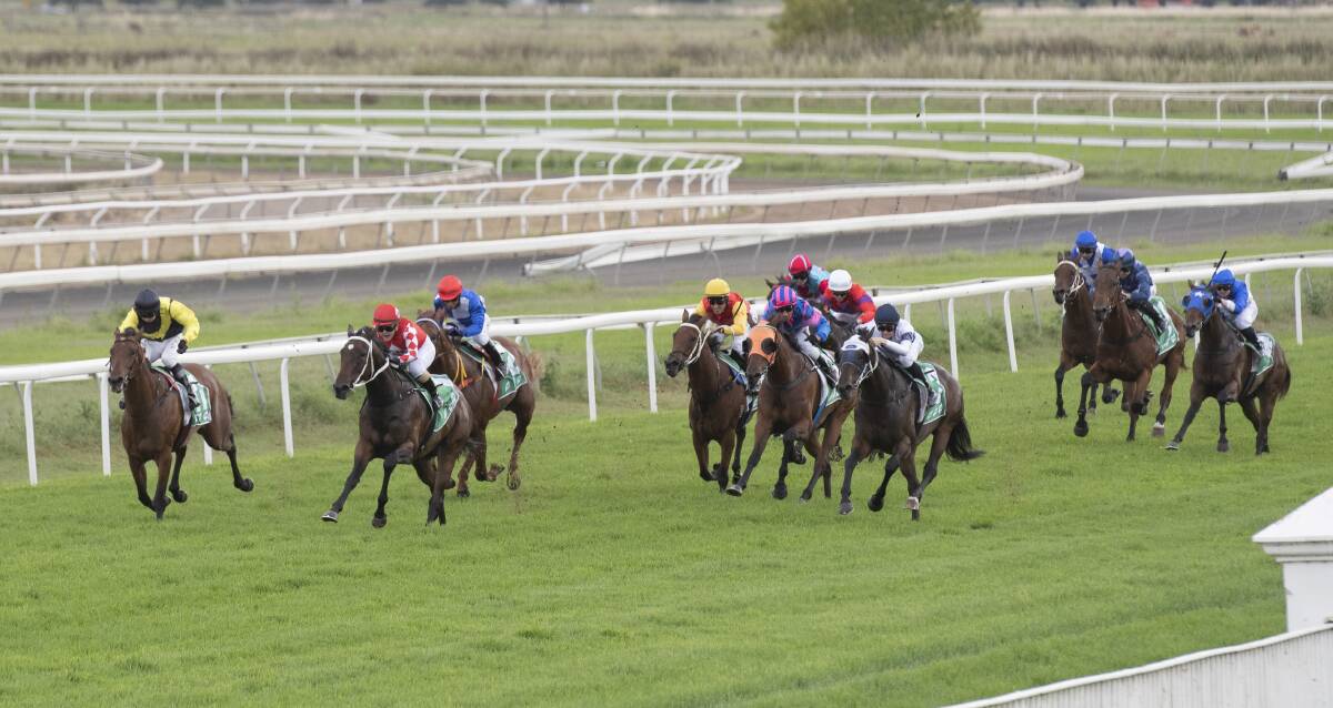 Close battle: Half Hinch (outside) and Ishim go stride for stride down the Tamworth straight yesterday. Half Hinch went on to salute by a neck. Photo: Peter Hardin
