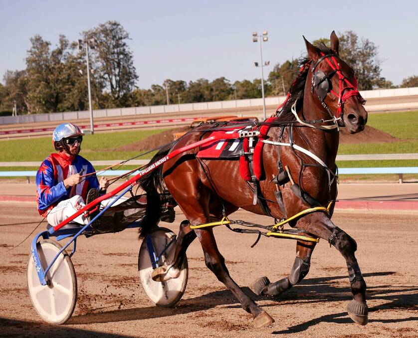 Big night: Richard Williams behind The Revenue Raiser - one of his six runners at the Tamworth harness meeting on Friday night - at Maitland recently. Photo: Grahame Huey Heuston