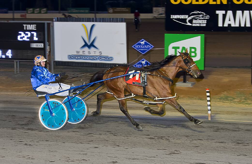 Dazzling run: My Ultimate Star cruises to an 18m win in the Hygain Star Maker Three-Year-Old Prelude as the Tamworth Harness Racing Club's January carnival kicked off on Wednesday night. Photo: PeterMac Photography