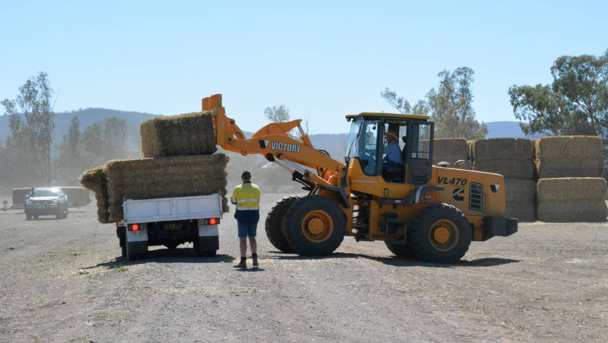 LOADING UP: A farmer has his hay loaded onto his truck during the Rural Aid hay drop. Photo: Jessica Worboys