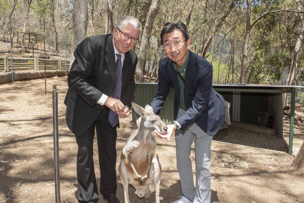 OFFICIAL VISITS: Tamworth mayor Col Murray with sister city mayor Matsuo Kazukiko from Sannohe in Japan at Tamworth Marsupial Park in 2019. Photo: Peter Hardin