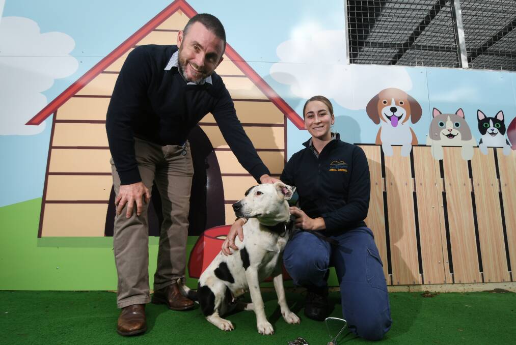 PAWFECT: Tamworth Regional Council compliance manager Ross Briggs with animal control officer Bobbie-Shae Clarke and Turps the dog. Photo: Gareth Gardner
