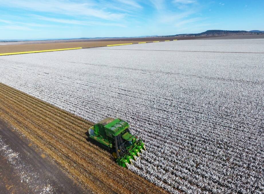 BOUNTIFUL PLAINS: The Liverpool Plains is one of the most productive agricultural areas in the state. Photo: Jillian Tudgey.