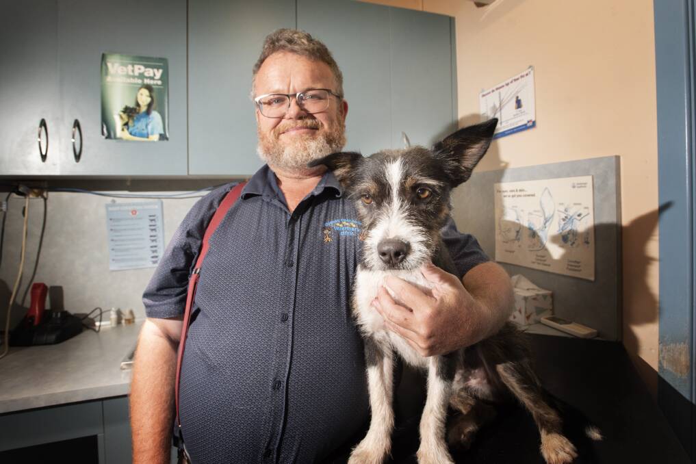 SAFETY FIRST: Goonoo Goonoo Road Vet Hospital's Brett Chittick is warning pet owners to ensure their furry friends don't have access to mouse baits at all. Photo: Peter Hardin