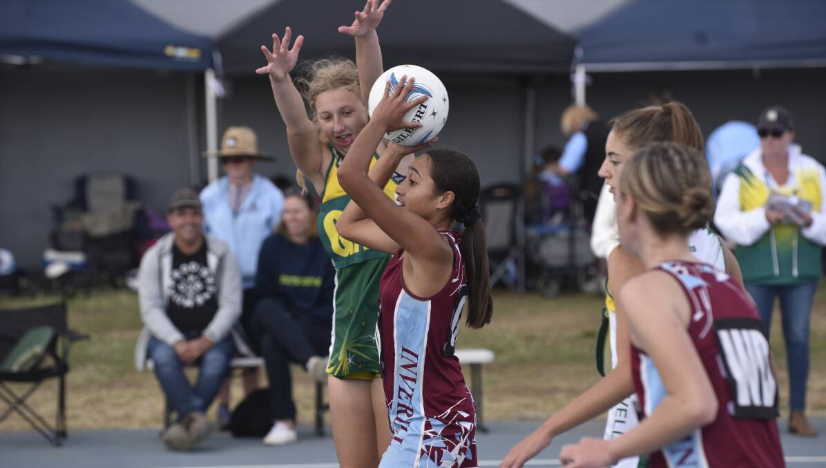 BLOCKED: The council has been urged to knock back a fee waiver request for an upcoming state netball carnival. Photo: Billy Jupp.