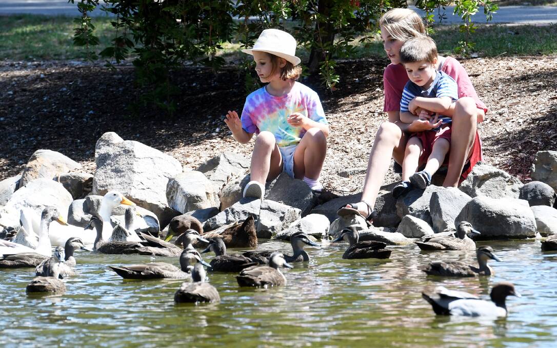 DAY FOR IT: Ryan, 3, Savannah Wheatley, 6, and Jessica Wheatley, 11, were happy to get out and feed the ducks in the cooler weather. Photo: Gareth Gardner 240219GGD03 