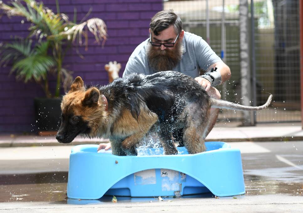 DOG GONE: Glen Deller giving Kodiak a bath at Heaven Can Wait earlier this year. Photo: Gareth Gardner 220119GGA03  