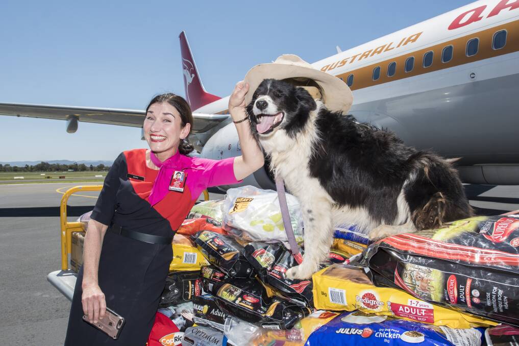 FOOD FOR FLIGHT: Qantas flight attendant Zanthe Atkinson with high-flying hound Mac and a tidy haul of treats for the region's working dogs. Photo: Peter Hardin 271018PHB012