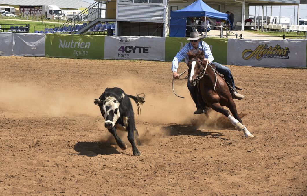 ROUND UP: It's just heating up at the Nutrien Classic at AELEC with hundreds hitting the yards to get a look. Photo: Jacob McArthur 020220JMB04