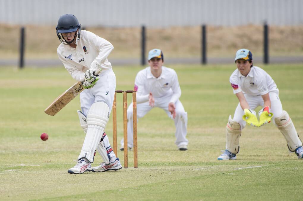 HOWZAT: A report has recommended council doesn't wipe the fees for an upcoming cricket carnival, despite helping larger events this year. Photo: Peter Hardin 300917PHB222