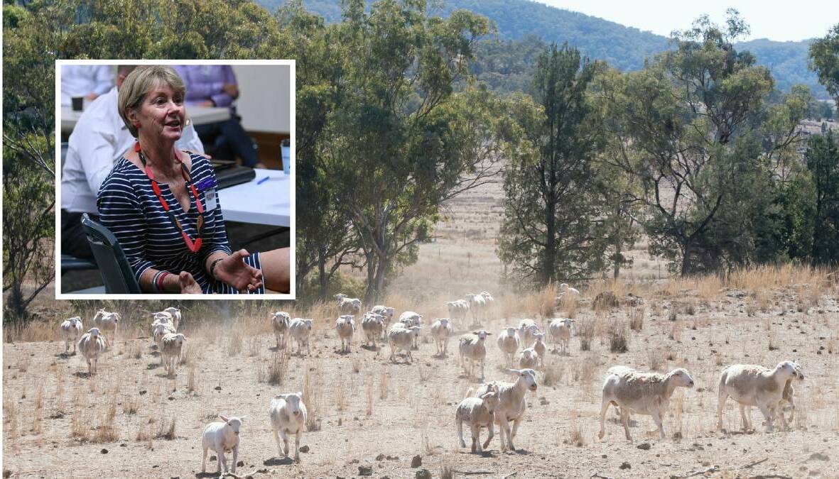 ALL AT SEA: Juanita Wilson has called on Tamworth Regional council to come clean about the city's water situation.