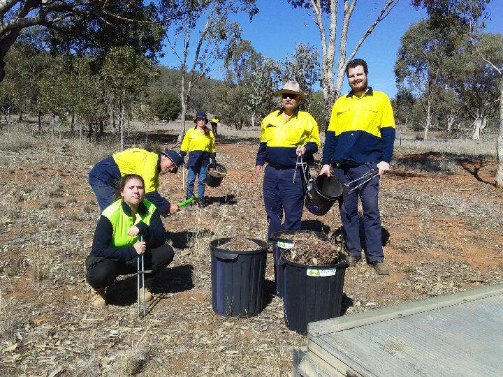 GROUNDWORK: Some of the growing cohort of horticulture gradates finding work in Tamworth. Photo: Supplied