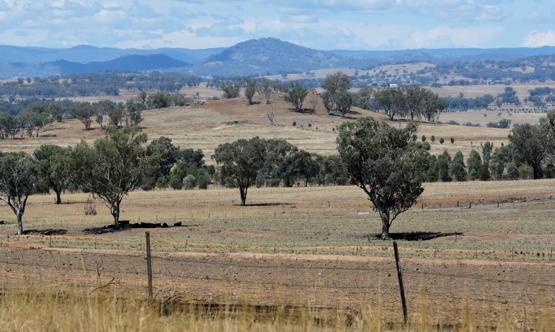 HIGH AND DRY: Tamworth Regional Council is calling for more drought assistance from the federal government. Photo: Gareth Gardner 210319GGD01