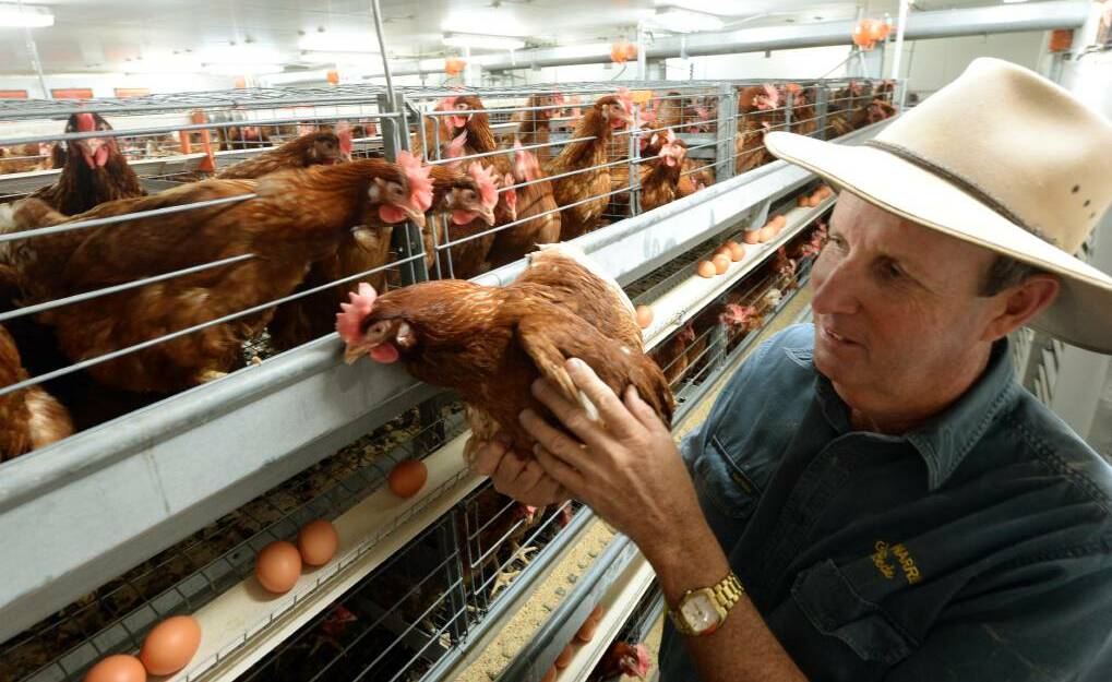 SHAKY GROUND: Egg farmer Bede Burke has concerns about looming industrial changes.