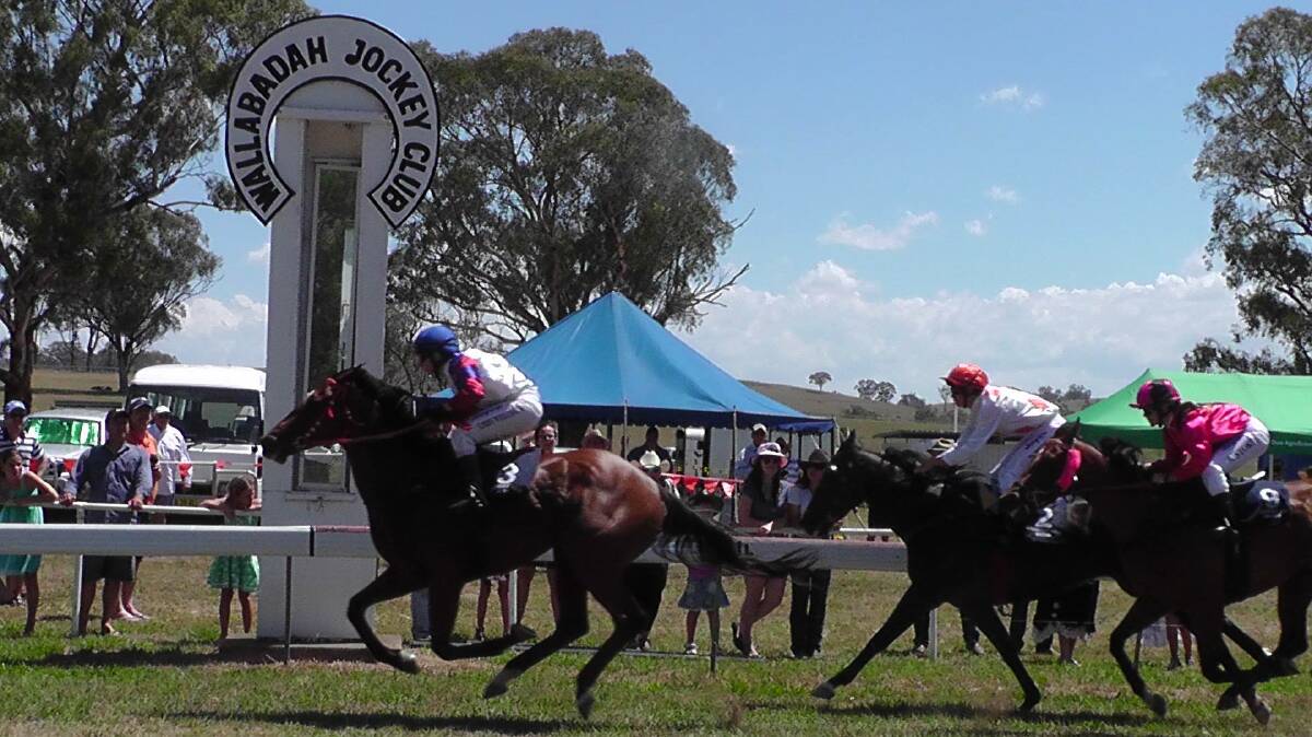 The winning ticket: The 166th Wallabadah New Year's Day Races promises to be a great day out with something on offer for everyone. Photo: Supplied