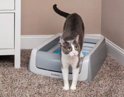 PetSafe's self-cleaning litter boxes keep the box fresh and odour-free so your cat is happy to use it. Picture supplied 