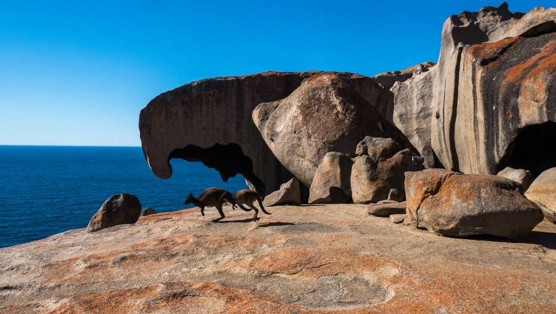 Visit Kangaroo Island, one of the world's great nature reserves. Picture supplied