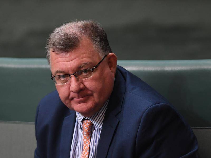 Liberal backbench MP Craig Kelly has joined other coalition members to lobby for coal energy.