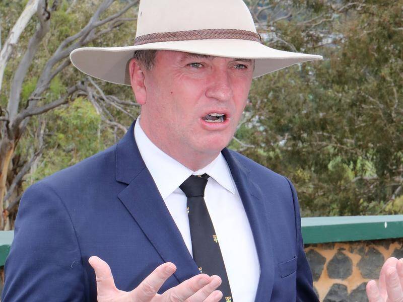 Barnaby Joyce says he will recontest his NSW seat of New England at the next election.