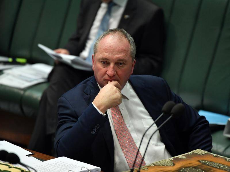 Barnaby Joyce signalled he would consider net zero emissions by 2050 only if more detail was given.