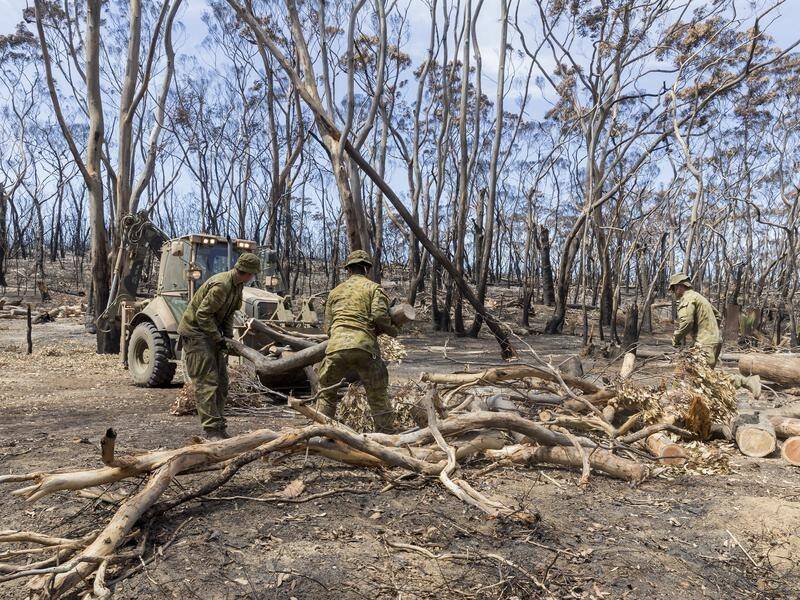 A workshop is looking at ways to help Kangaroo Island's wildlife after the devastating bushfires.