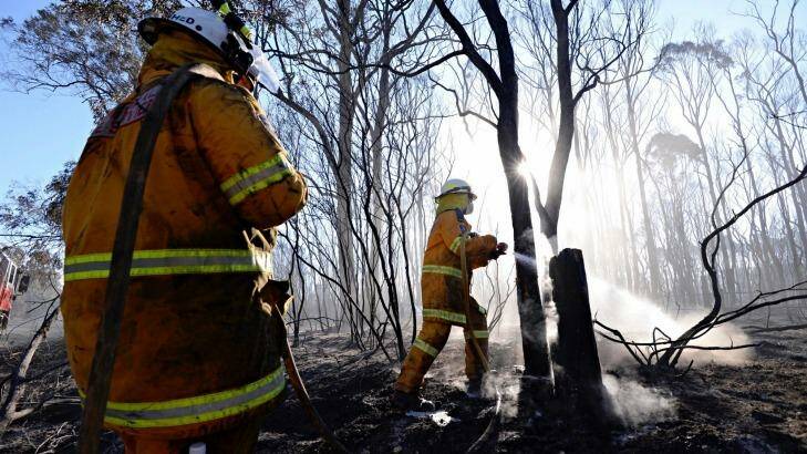 Fire crews work on Northern Road in Llandilo, where a fire burned through the reserve. Photo: Wolter Peeters