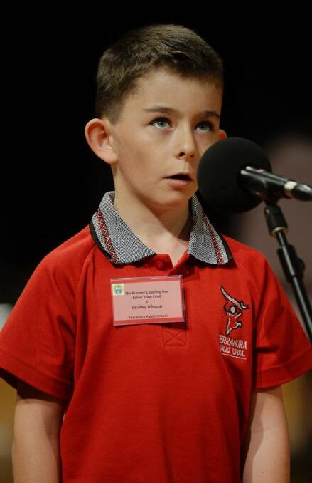 Competitors in the Premier's Spelling bee held at the Ultimo ABC. Bradley Gilmour from Terranora Public School. Pic Nick Moir 