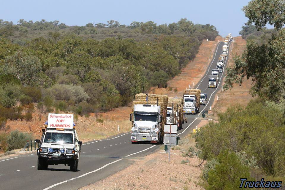 It's rare a day goes by without being able to see a convoy of drought relief in our region or somewhere else across the state. Photo: Scott Curtis